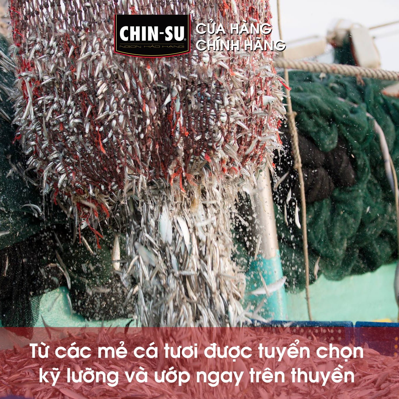 NƯỚC MẮM CHIN-SU CÁ CƠM MÙA XUÂN - Masan Consumer