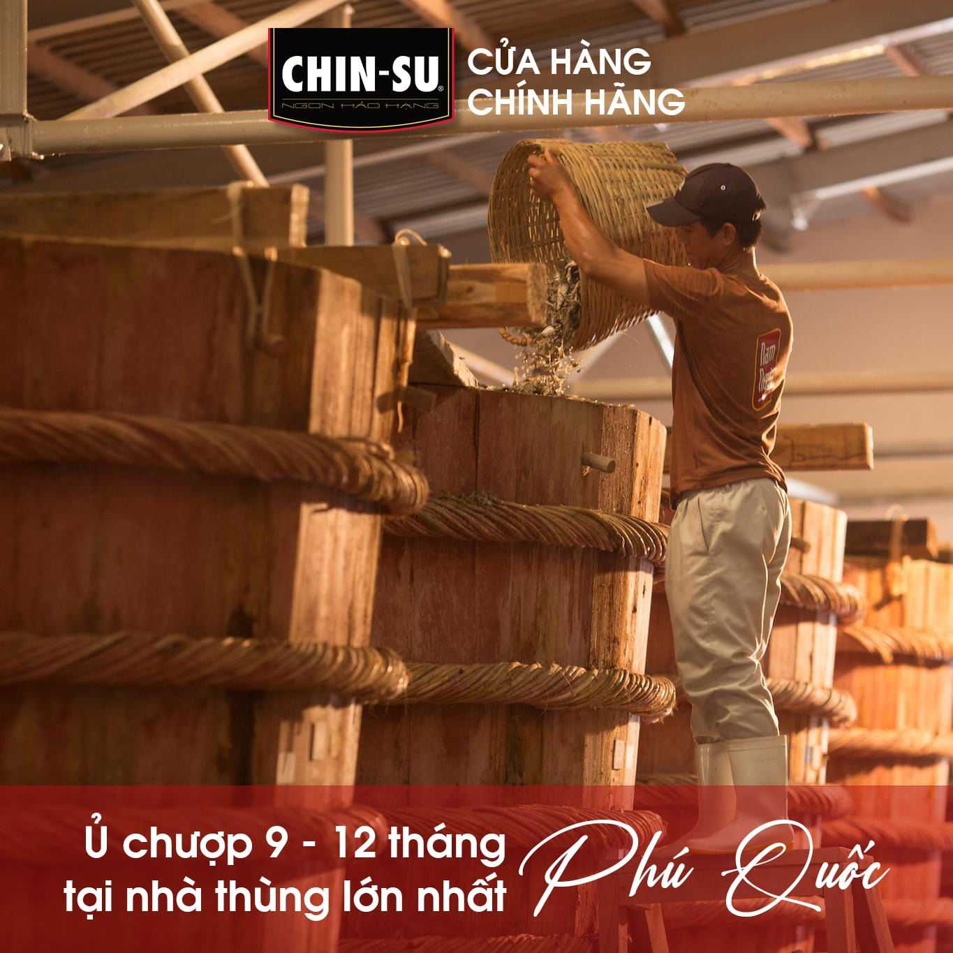 NƯỚC MẮM CHIN-SU CÁ CƠM MÙA XUÂN - Masan Consumer